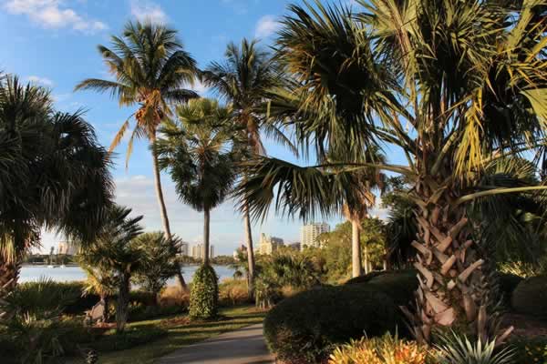 Selby Gardens View