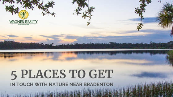 Florida Nature