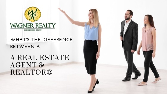 Real Estate Agents and REALTORS